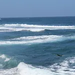 Holidaynorthtenerife Exotic Διαμέρισμα Λος Ρεαλέχος