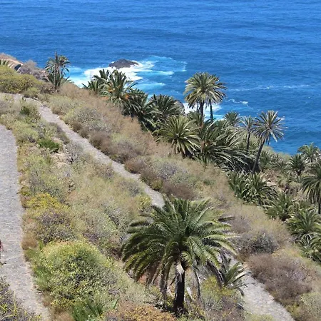 Holidaynorthtenerife Exotic لوس رياليخوس