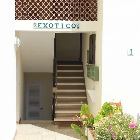 Appartement Holidaynorthtenerife Exotic Los Realejos