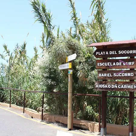 Holidaynorthtenerife Exotic *