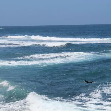 Holidaynorthtenerife Exotic Appartement Los Realejos