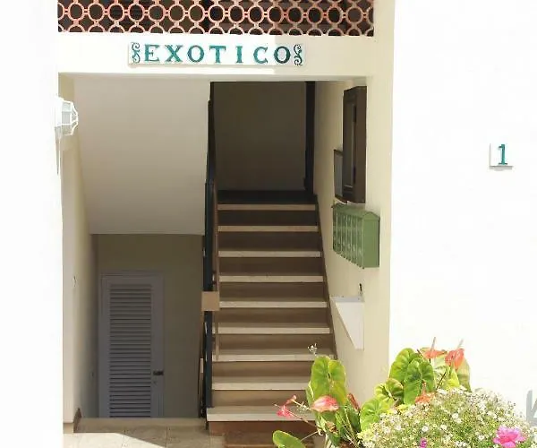 Apartment Holidaynorthtenerife Exotic Los Realejos