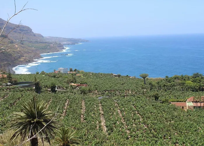 Holidaynorthtenerife Exotic Apartment