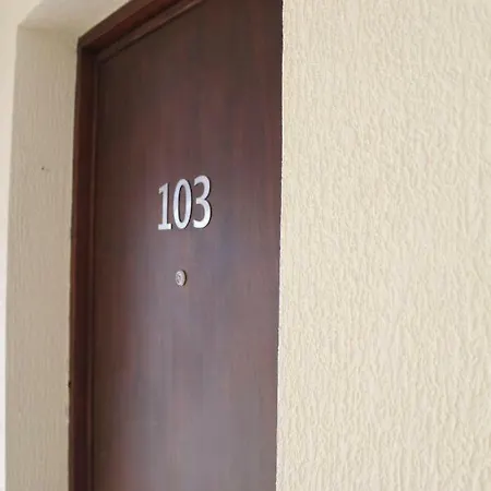 Holidaynorthtenerife Exotic