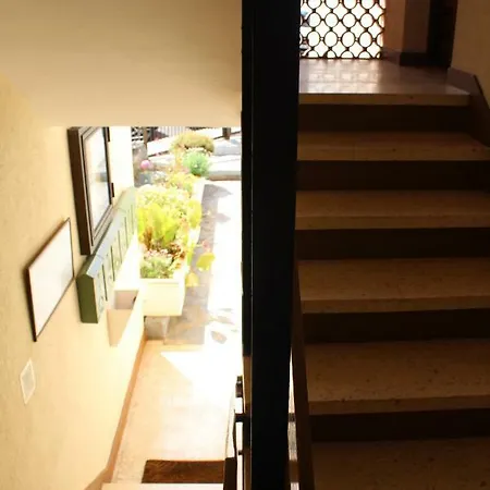 Holidaynorthtenerife Exotic * Los Realejos