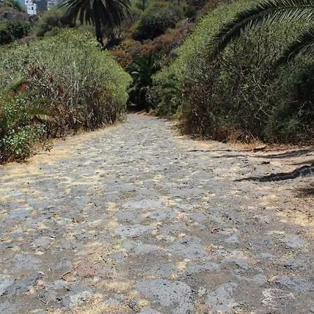 Holidaynorthtenerife Exotic 로스 레알레호스