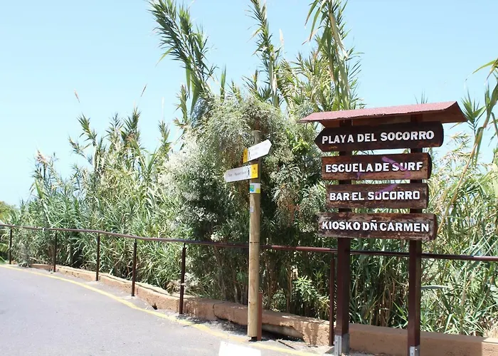 Holidaynorthtenerife Exotic *