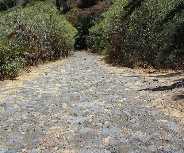 Holidaynorthtenerife Exotic Los Realejos