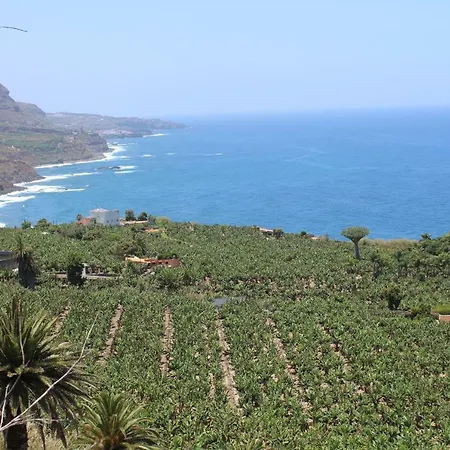 Holidaynorthtenerife Exotic شقة