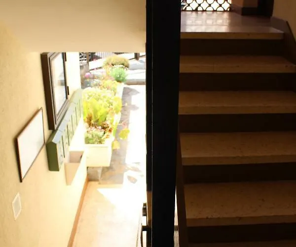 Holidaynorthtenerife Exotic * لوس رياليخوس