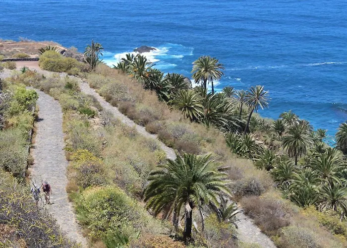 Holidaynorthtenerife Exotic لوس رياليخوس